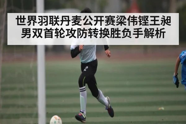 世界羽联丹麦公开赛梁伟铿王昶男双首轮攻防转换胜负手解析 | kaiyun