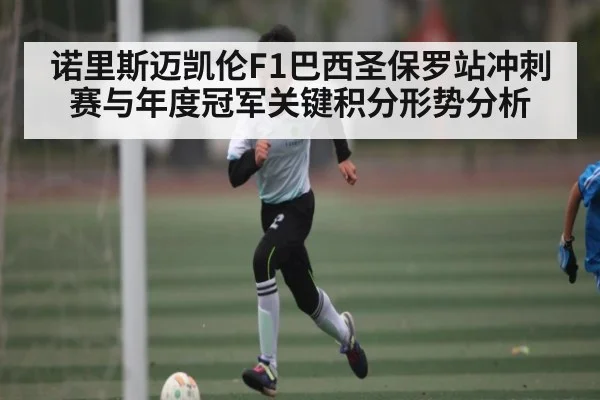 诺里斯迈凯伦F1巴西圣保罗站冲刺赛与年度冠军关键积分形势分析 | kaiyun
