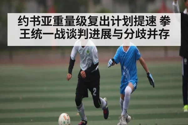 约书亚重量级复出计划提速 拳王统一战谈判进展与分歧并存